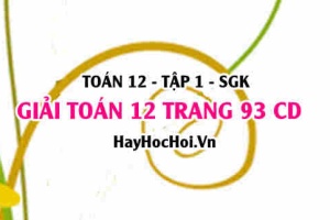 Giải Toán 12 trang 93 tập 1 Cánh Diều